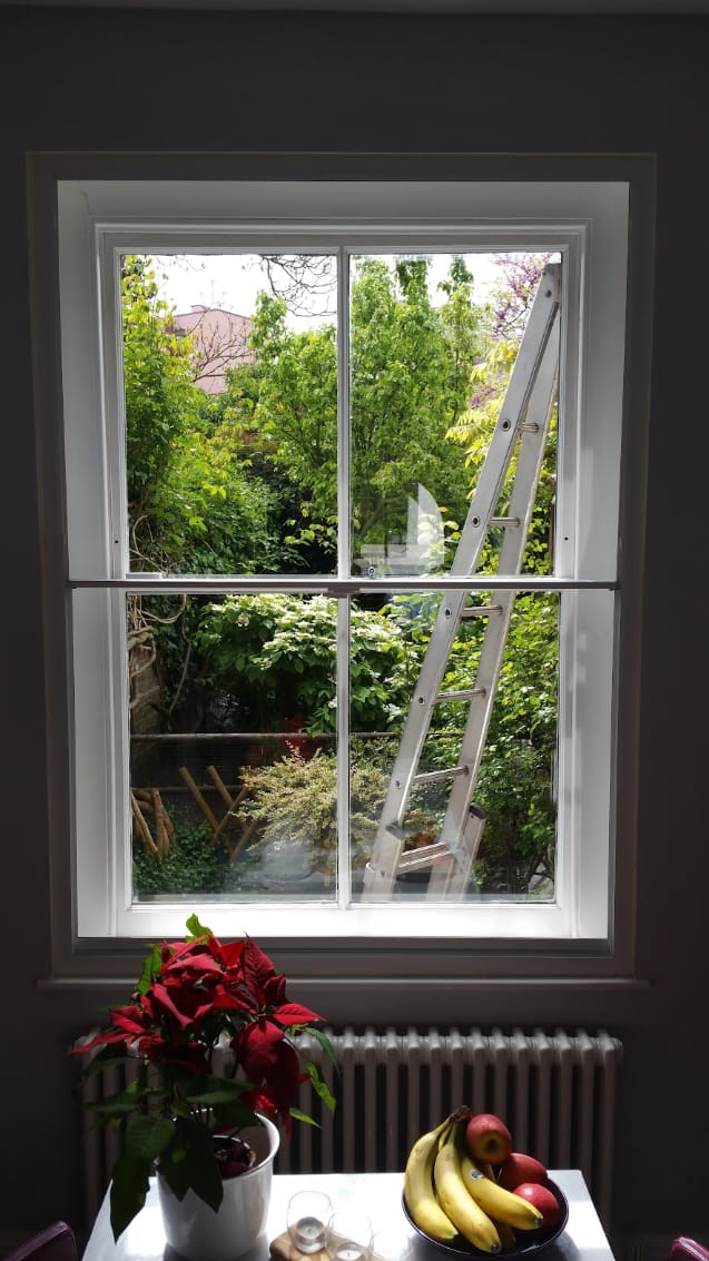 window and ladder