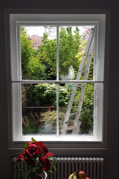 window and ladder